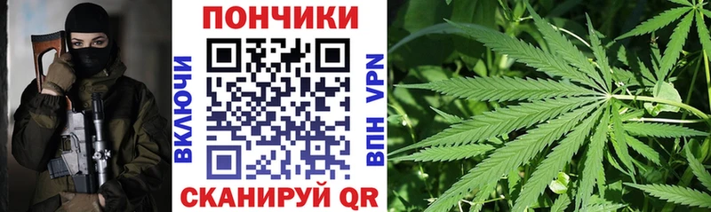 Конопля OG Kush  Серов 